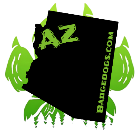 JOURNAL STATE STICKERS