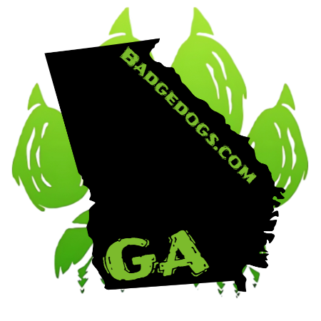 JOURNAL STATE STICKERS