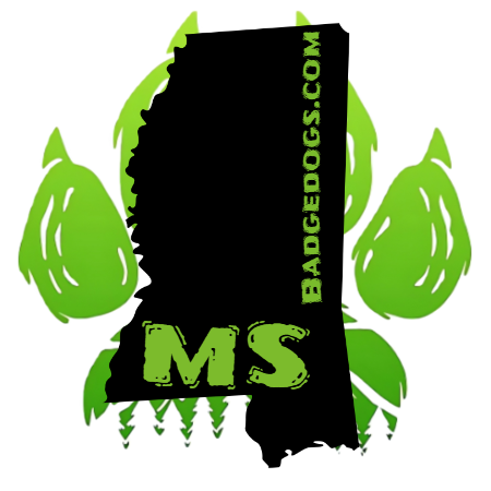 JOURNAL STATE STICKERS