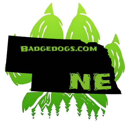 JOURNAL STATE STICKERS