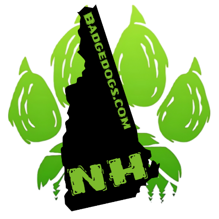 JOURNAL STATE STICKERS