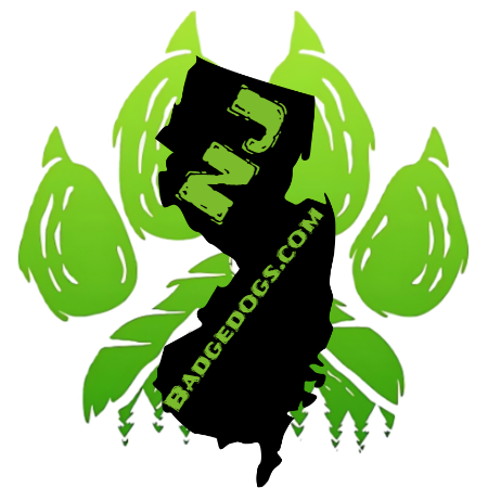 JOURNAL STATE STICKERS