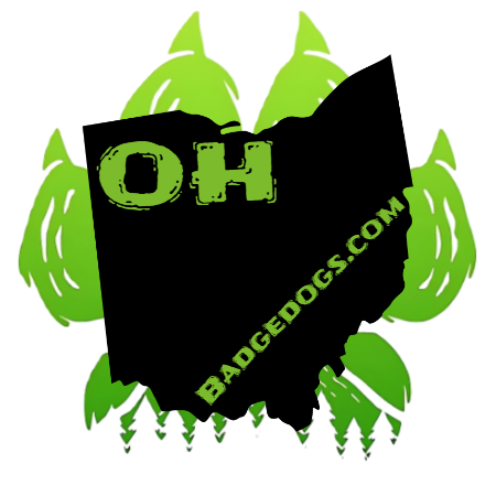 JOURNAL STATE STICKERS
