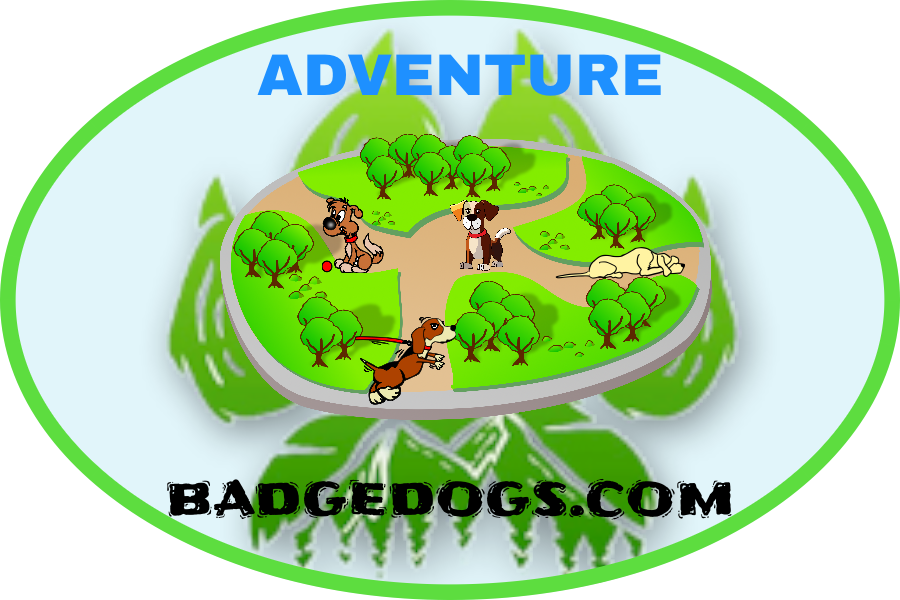 Adventure Series
