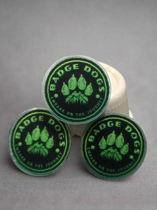 Badge Dog Pin