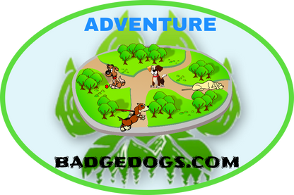 Adventure Series